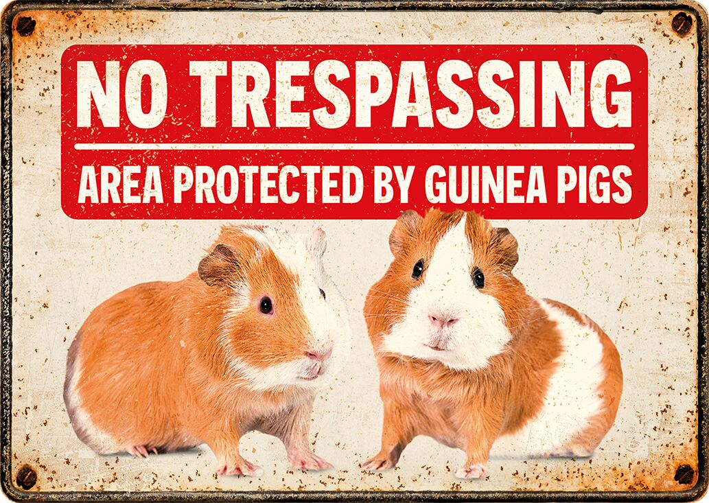Plenty Gifts Sign Metal No Trespassing Guinea Pigs (h)