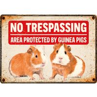 Plenty Gifts Sign Metal No Trespassing Guinea Pigs (h)