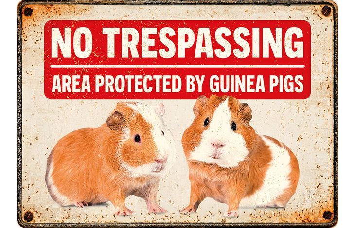 Plenty Gifts Sign Metal No Trespassing Guinea Pigs (h)
