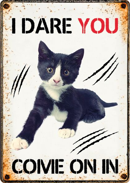 Plenty Gifts Bord blik I Dare you come on in (v)