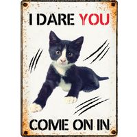 Plenty Gifts Bord blik I Dare you come on in (v)