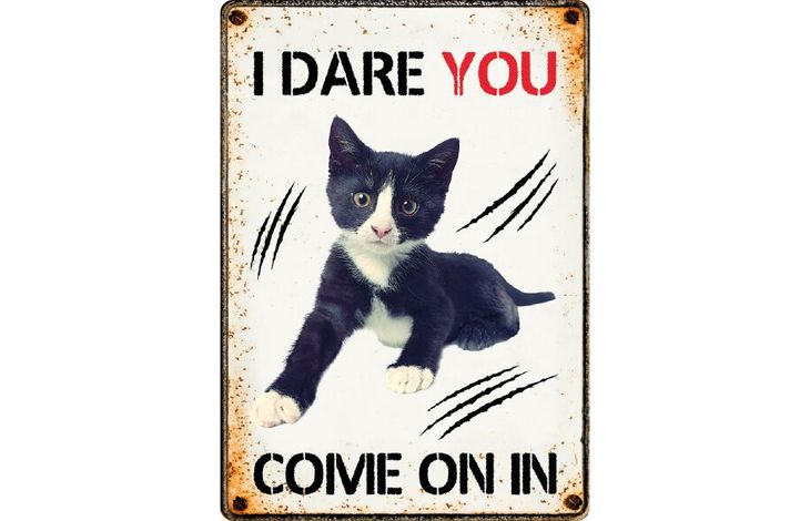 Plenty Gifts Bord blik I Dare you come on in (v)