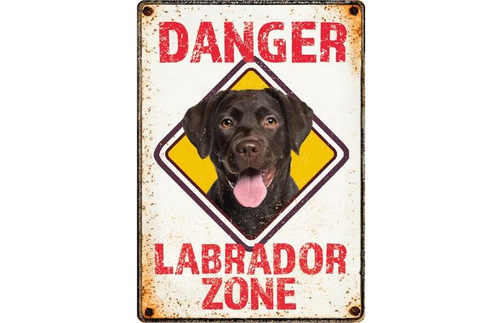 Plenty Gifts Sign Metal Labrador Zone Danger (v)