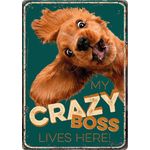 Bord blik Crazy Boss (v)