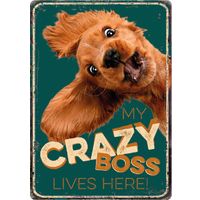 Plenty Gifts Bord blik Crazy Boss (v)