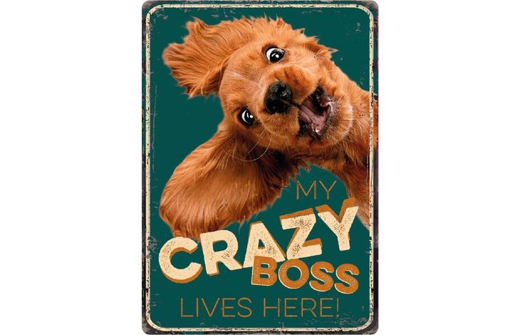 Plenty Gifts Bord blik Crazy Boss (v)