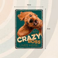 Plenty Gifts Bord blik Crazy Boss (v)