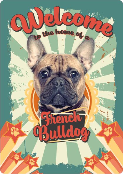Plenty Gifts Bord blik Welcome home French Bulldog (v) EN