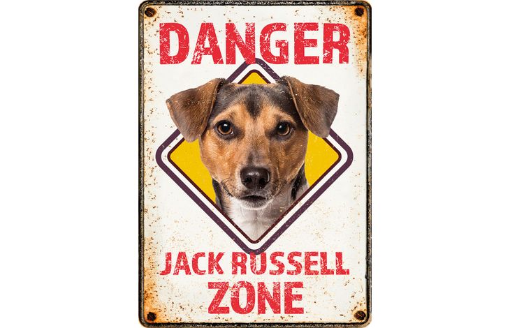 Plenty Gifts Sign Metal Jack Russell Zone Danger (v)