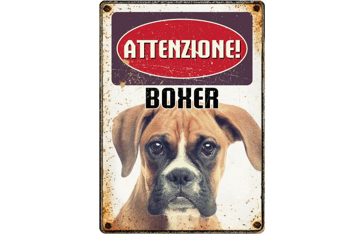 Plenty Gifts Segnale Del Metallo Boxer