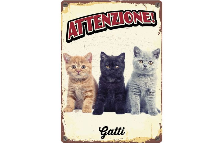 Plenty Gifts Segnale Del Metallo Gatti