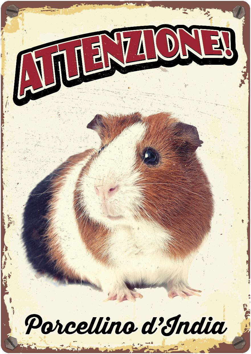 Plenty Gifts Segnale Del Metallo Porcellino D'india