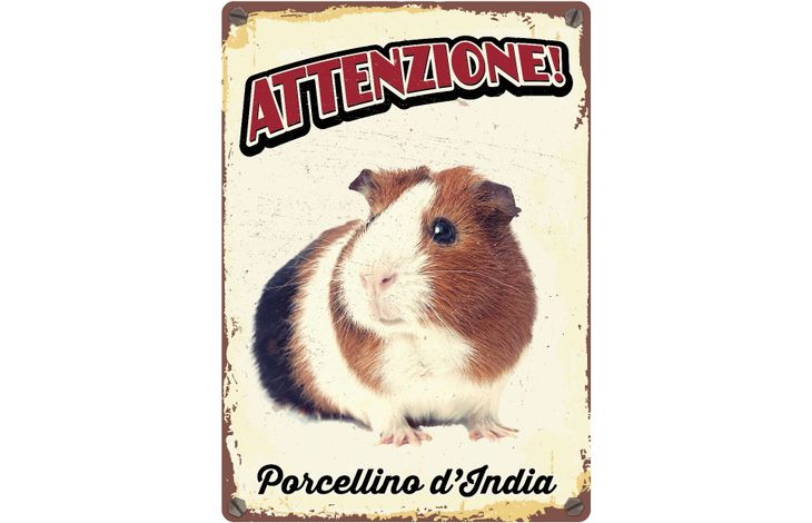 Plenty Gifts Segnale Del Metallo Porcellino D'india