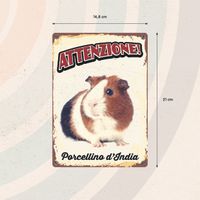 Plenty Gifts Segnale Del Metallo Porcellino D'india