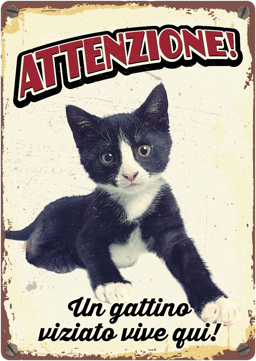 Plenty Gifts Segnale Del Metallo Un Gattino