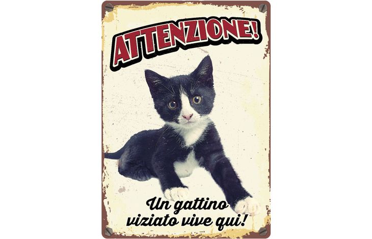 Plenty Gifts Segnale Del Metallo Un Gattino