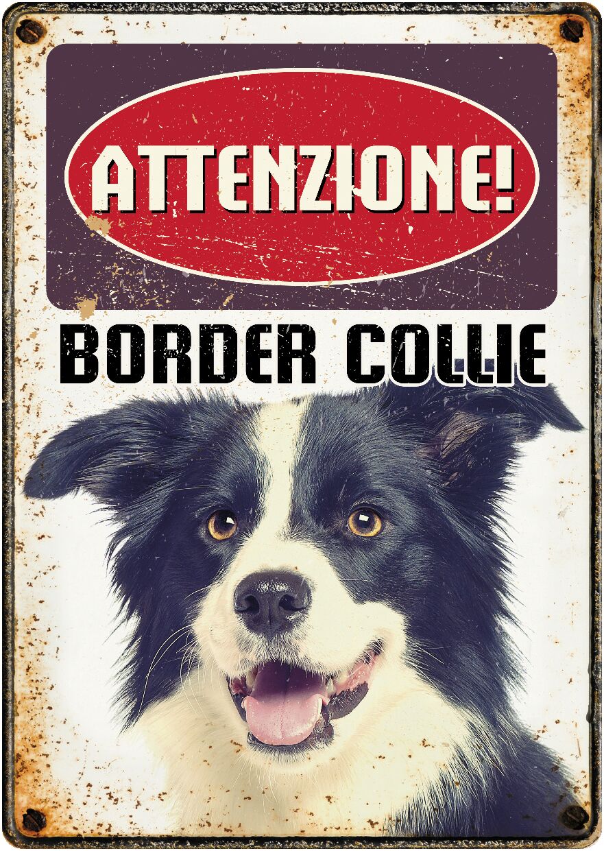 Plenty Gifts Segnale Del Metallo Border Collie