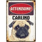 Segnale Del Metallo Carlino