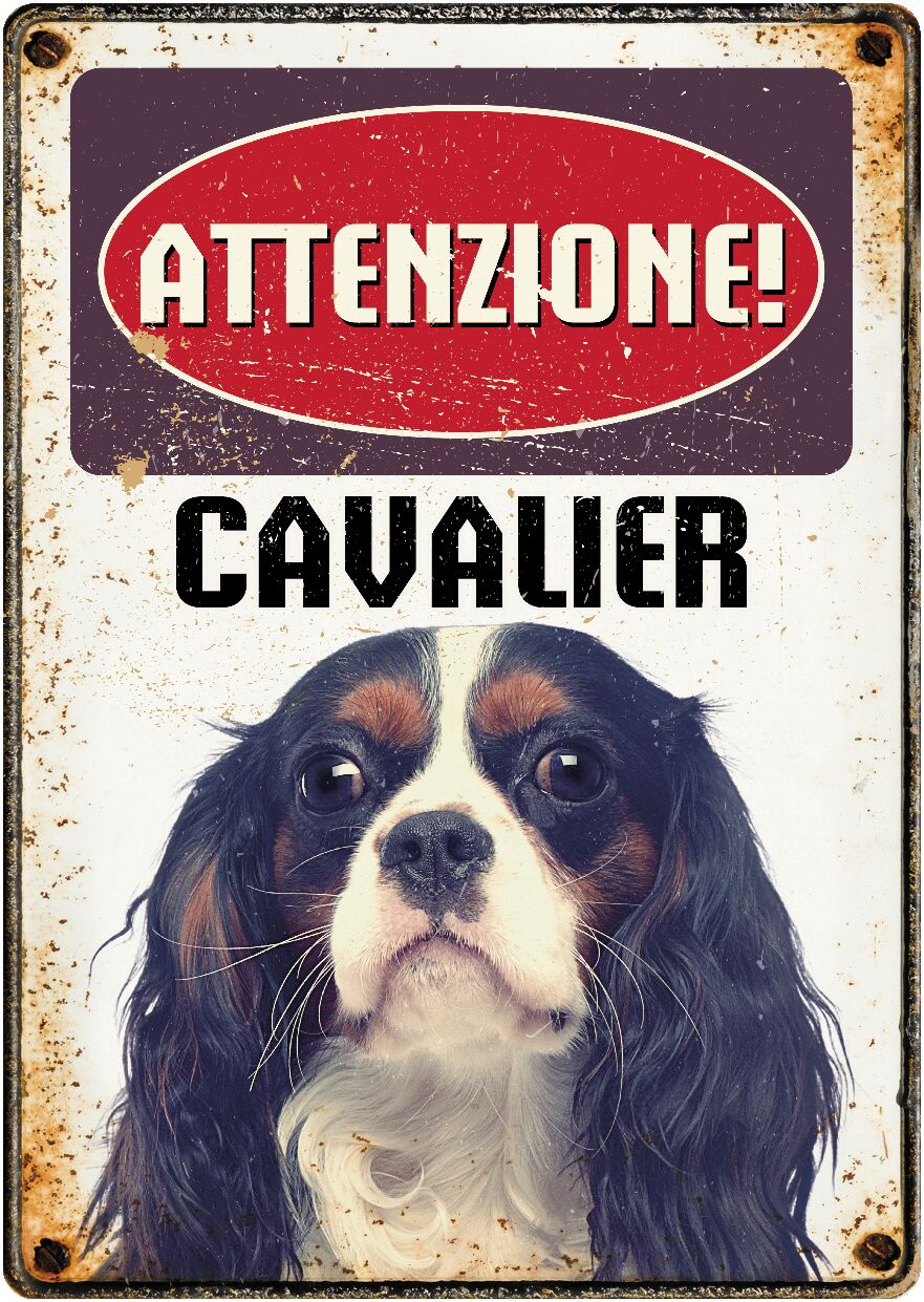 Plenty Gifts Segnale Del Metallo Cavalier