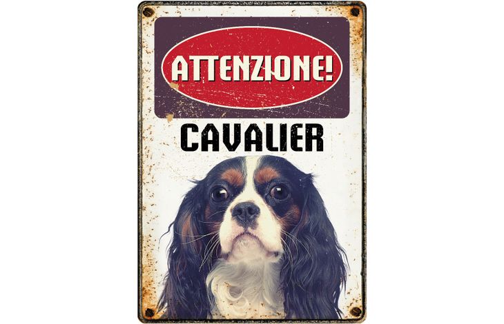 Plenty Gifts Segnale Del Metallo Cavalier