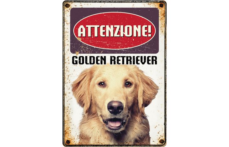 Plenty Gifts Segnale Del Metallo Golden Retriever