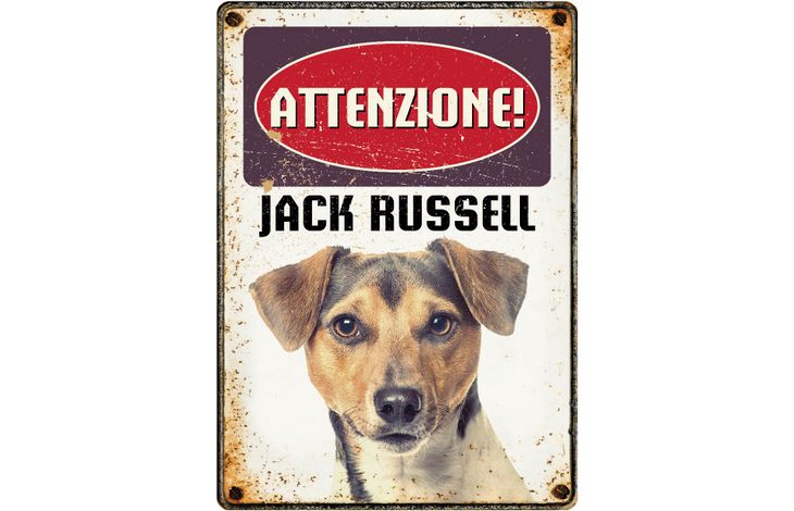 Plenty Gifts Segnale Del Metallo Jack Russell