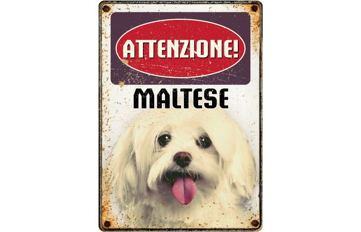 Plenty Gifts Segnale Del Metallo Maltese