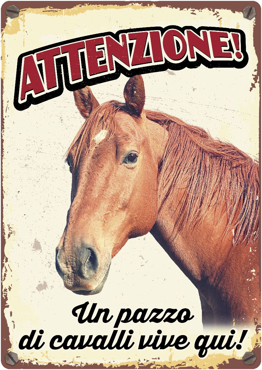 Plenty Gifts Segnale Del Metallo Un Pazzo Di Cavalli