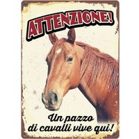 Plenty Gifts Segnale Del Metallo Un Pazzo Di Cavalli