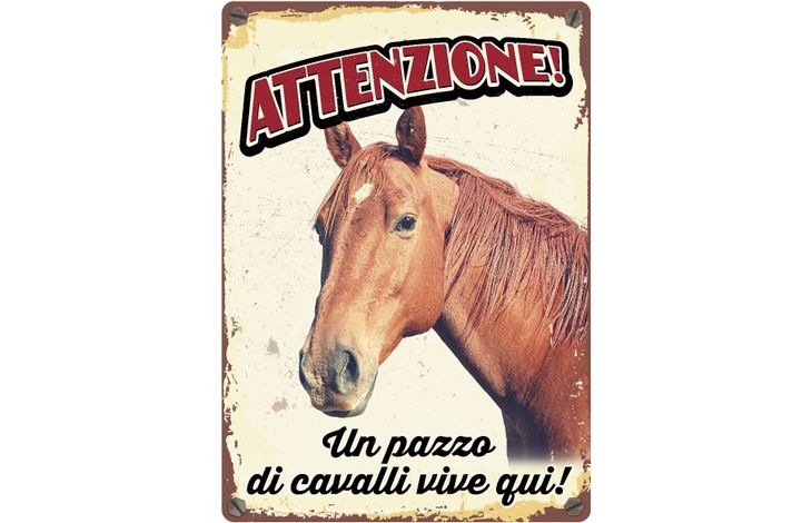 Plenty Gifts Segnale Del Metallo Un Pazzo Di Cavalli