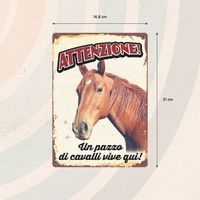 Plenty Gifts Segnale Del Metallo Un Pazzo Di Cavalli