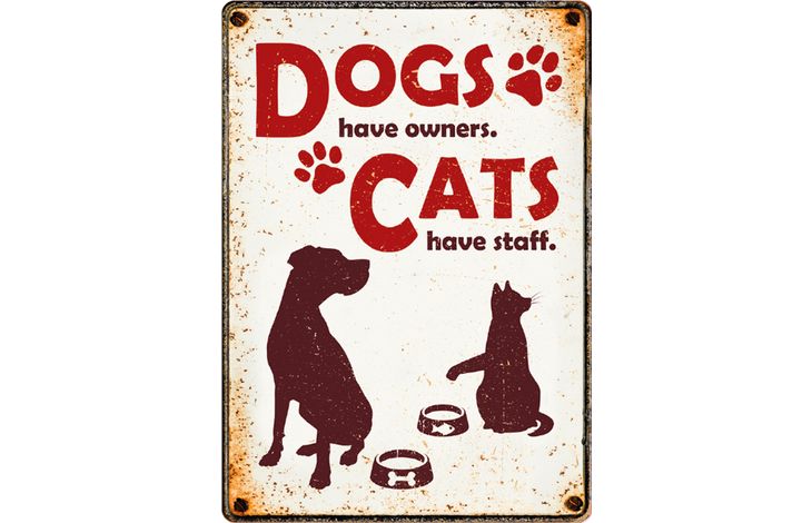 Plenty Gifts Bord blik Dogs Have (v)