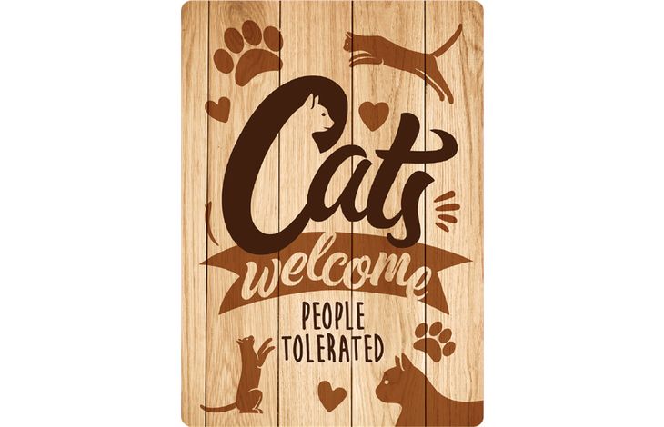 Plenty Gifts Bord blik Cats Welcome Wood (v)