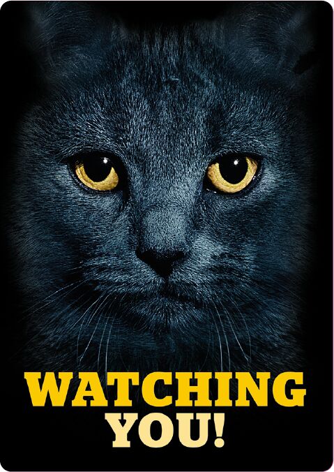 Plenty Gifts Bord blik Black Cat's Eyes (v)