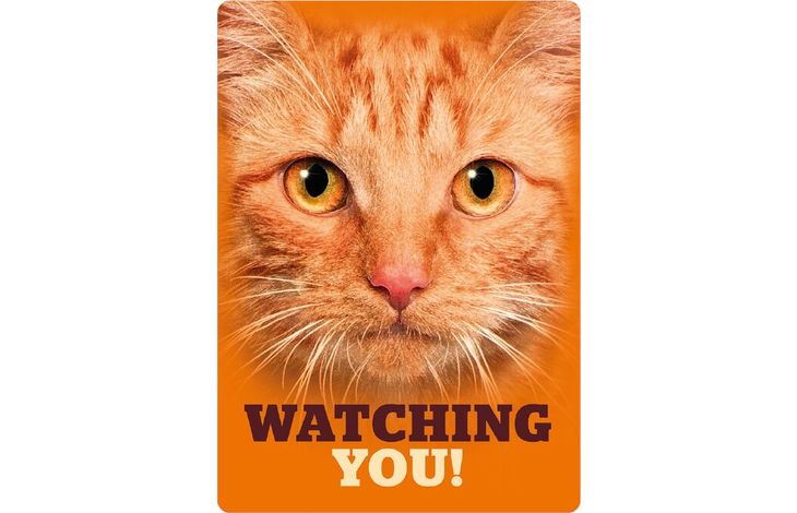 Plenty Gifts Sign Metal Orange Tabby Eyes (v)