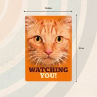 Plenty Gifts Sign Metal Orange Tabby Eyes (v)