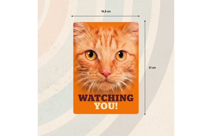 Plenty Gifts Sign Metal Orange Tabby Eyes (v)