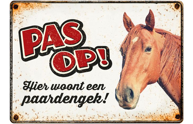 Plenty Gifts Bord Blik Paardengek (h)