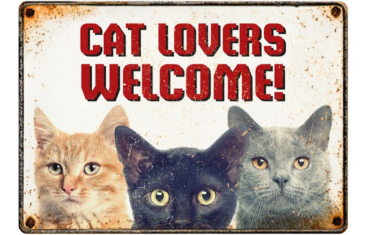Plenty Gifts Bord blik Cat Lovers Welcome (h)