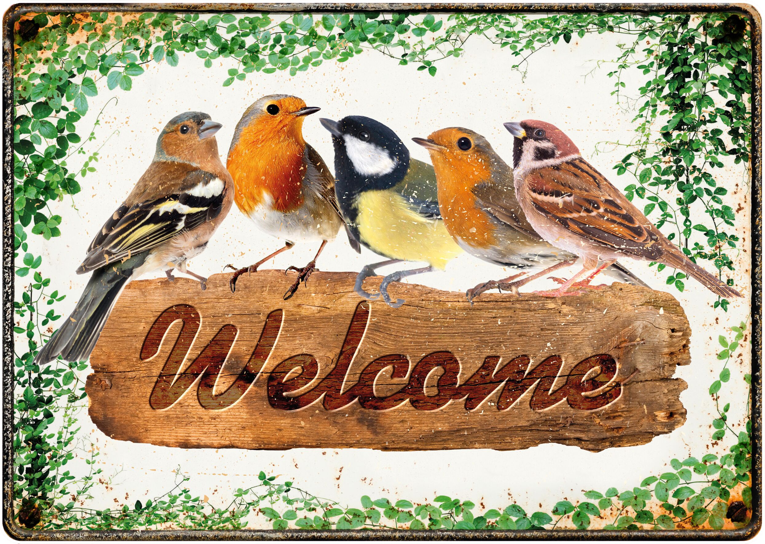 Plenty Gifts Sign Metal Welcome Birds (h)