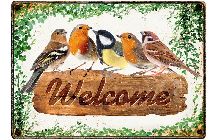 Plenty Gifts Sign Metal Welcome Birds (h)