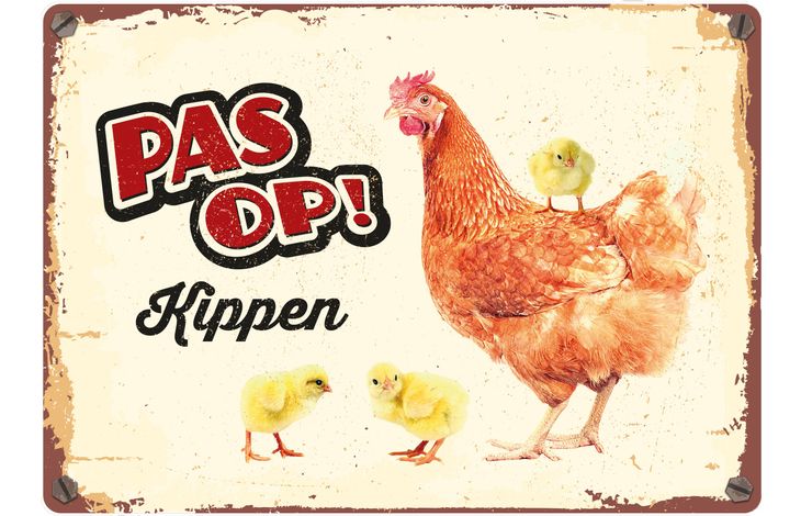 Plenty Gifts Bord Blik Kippen (h)