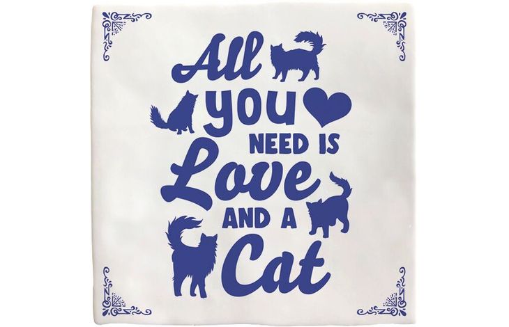 Plenty Gifts Deco Tile All You Need Cat