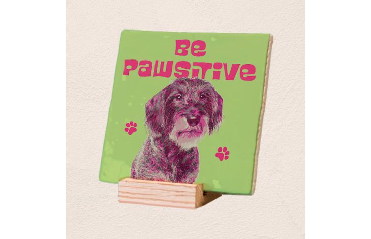 Plenty Gifts Deco Tile Be Pawsitive Dachshund
