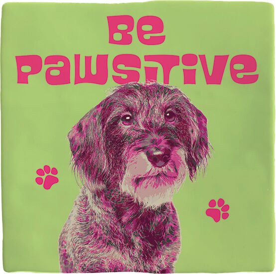 Plenty Gifts Deco Tile Be Pawsitive Dachshund