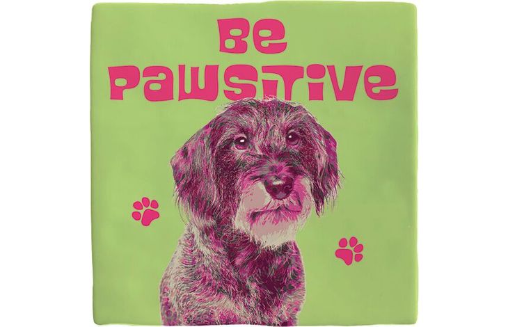Plenty Gifts Deco Tile Be Pawsitive Dachshund