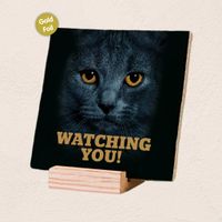 Plenty Gifts Deco Tile Black Cats Eyes