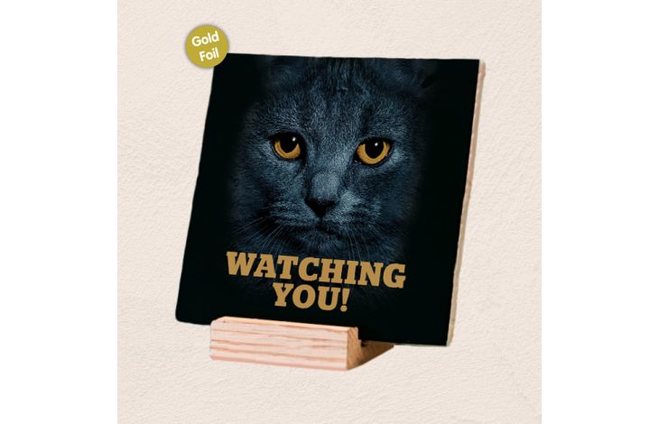 Plenty Gifts Deco Tile Black Cats Eyes