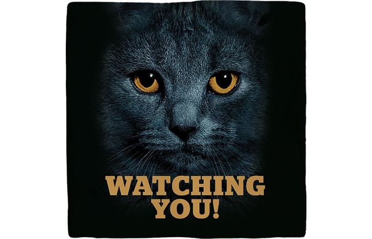 Plenty Gifts Deco Tile Black Cats Eyes