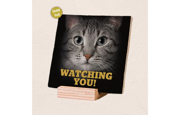 Plenty Gifts Deco Tile Grey Cats Eyes